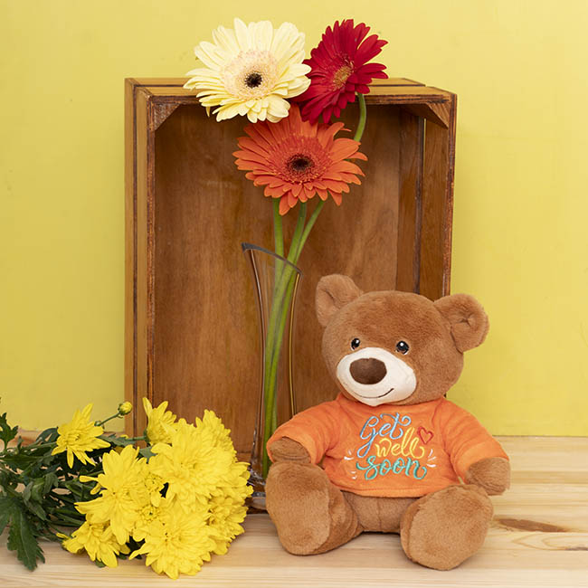 Teddy Bear Caleb w Get Well Soon T-Shirt Orange (21cmST)