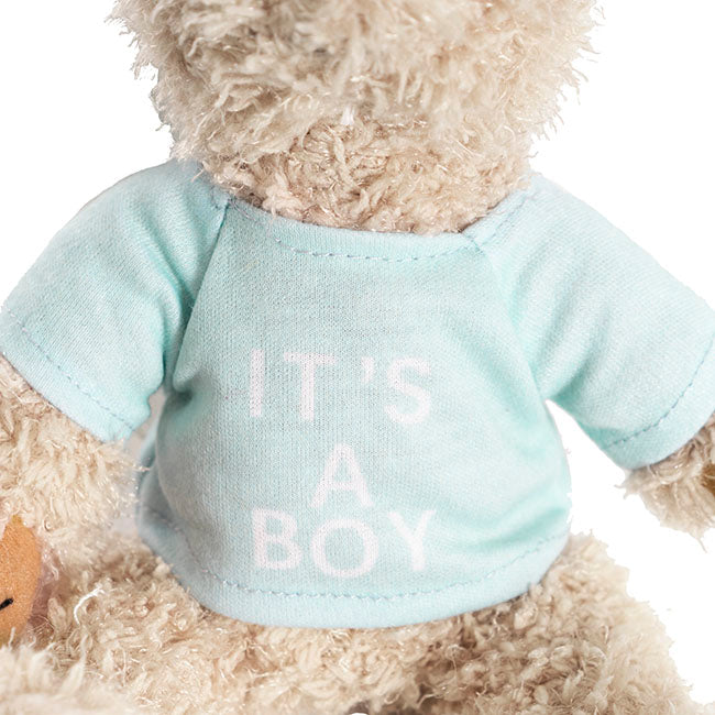 Teddy Bear Message Its a Boy Blue T Shirt (20cmHT)