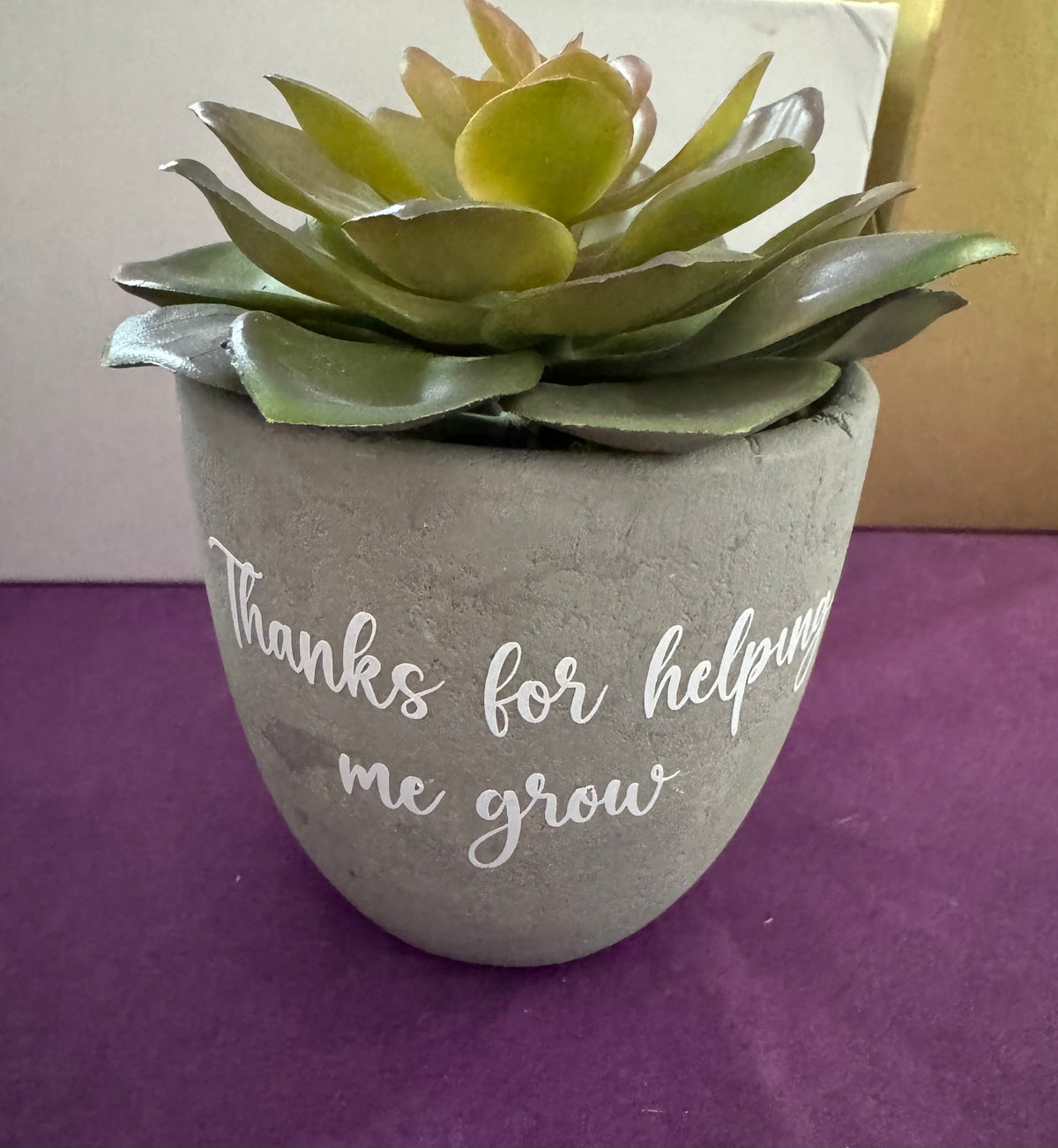 " Thanks For Helping Me Grow"- Artificial Succulent In Cement Pot