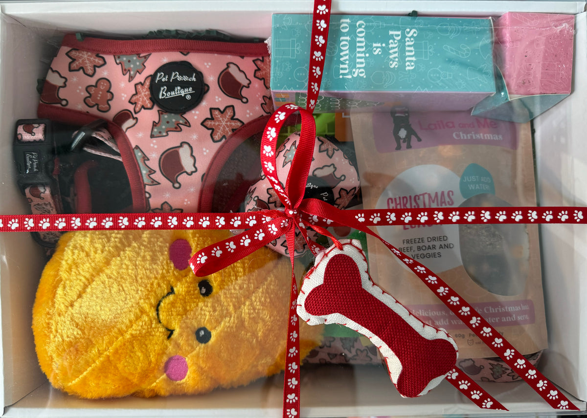 Merry Pawsmas Christmas Gift Box