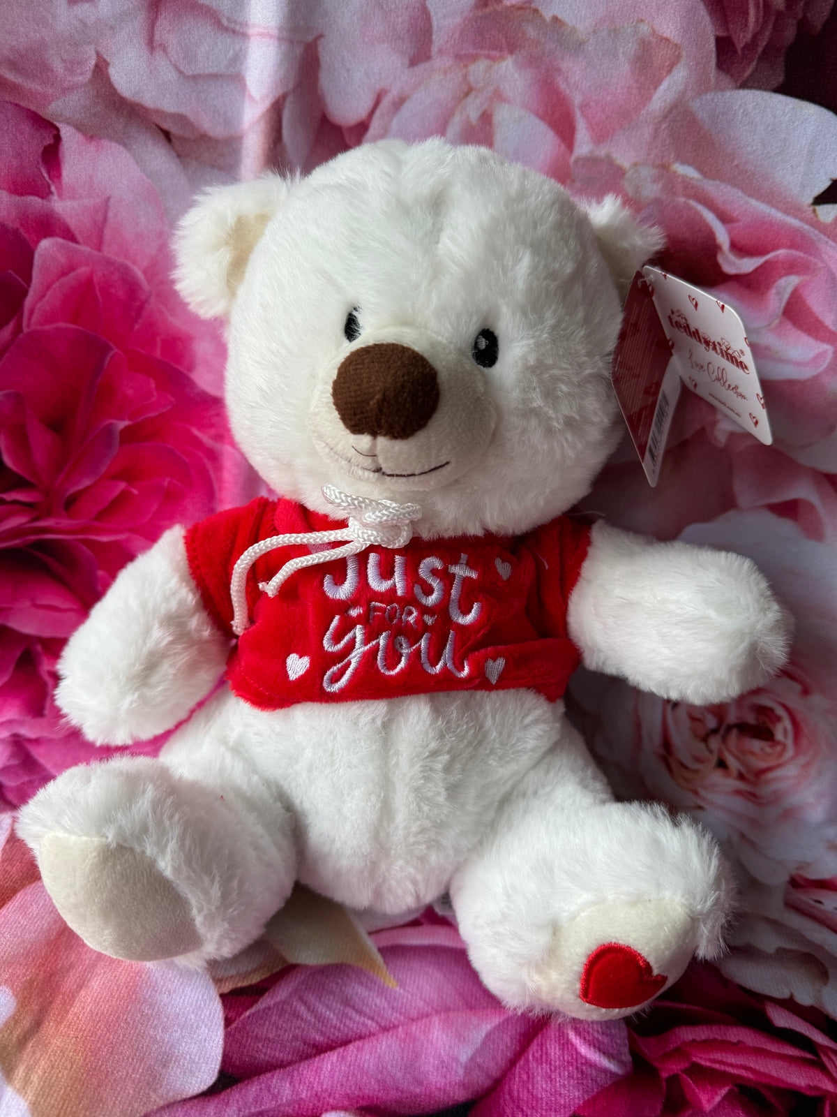 Just For You Teddy Bear Tom w Hoodie