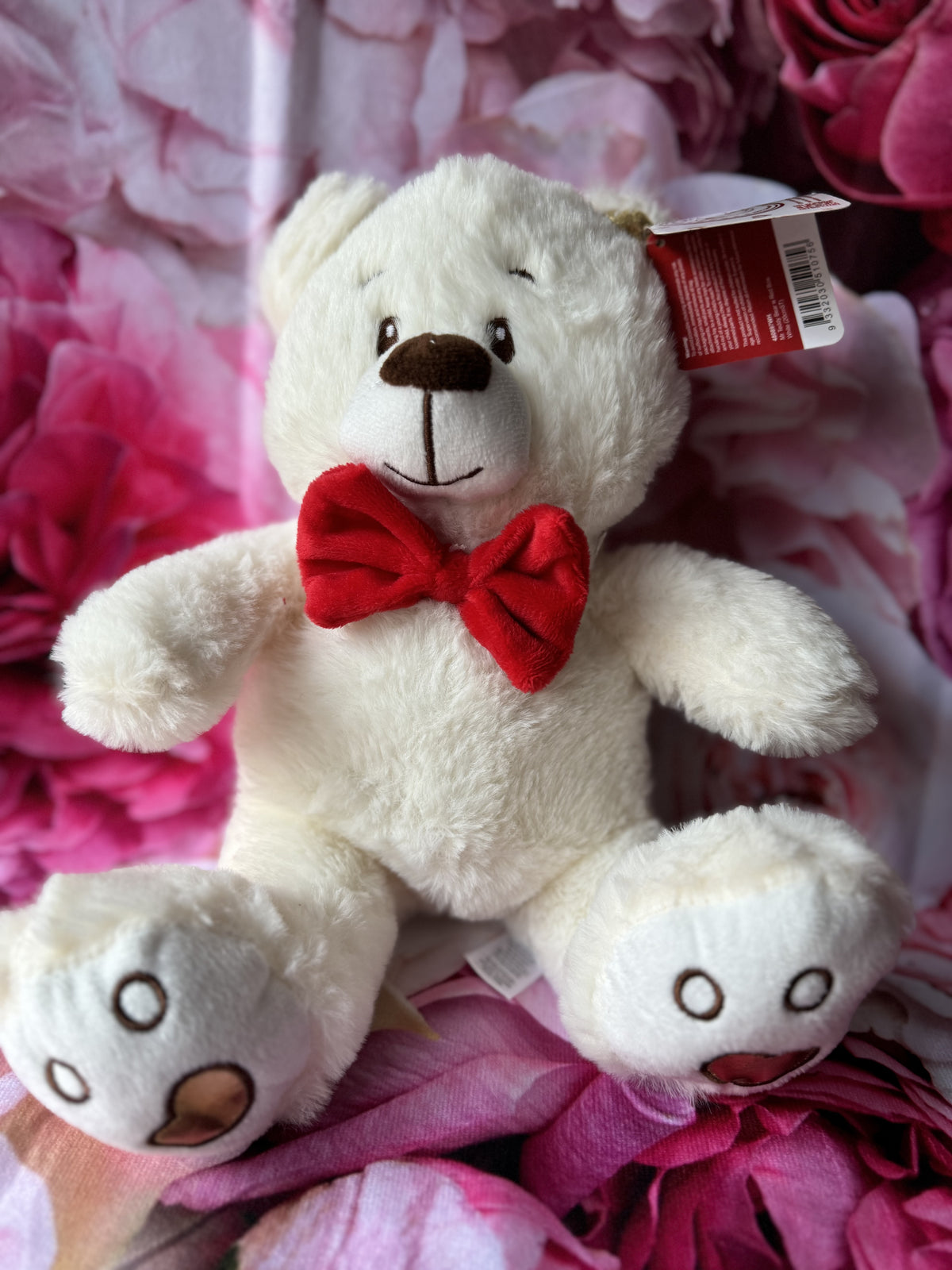 Mr Teddy Bear With Red Bow