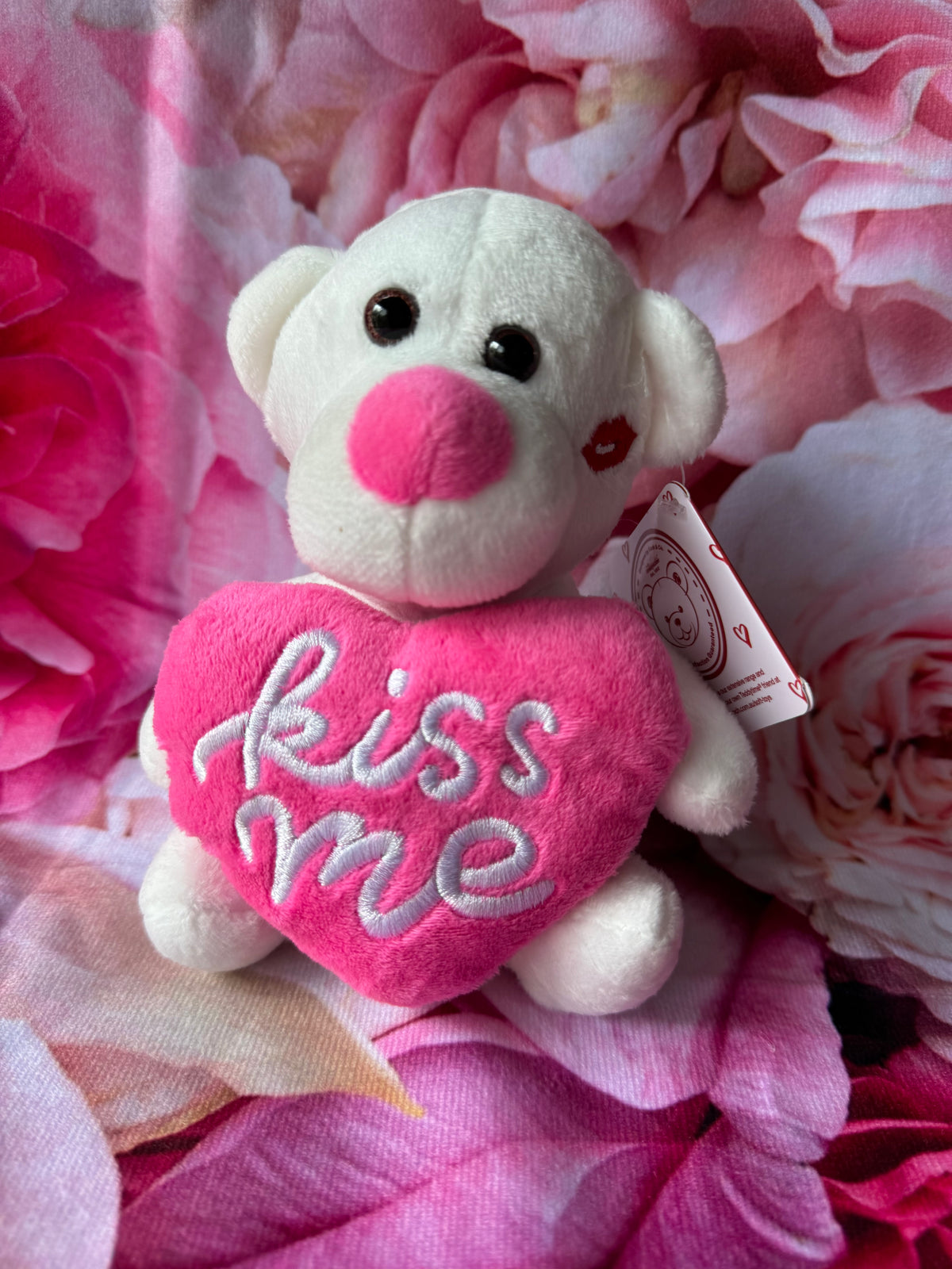 Kiss Me Teddy Bear Mini Plush Toy Pink & White