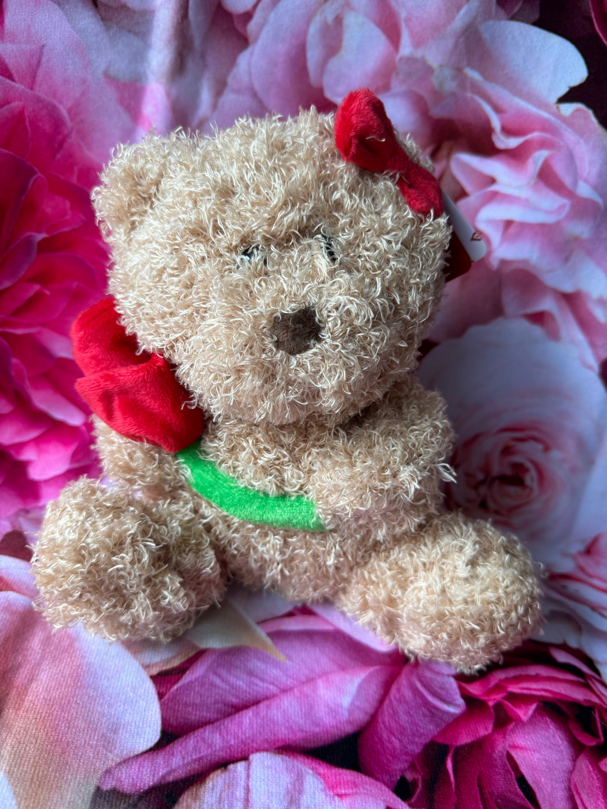 Mrs Teddy Bear with Red Rose 20cm