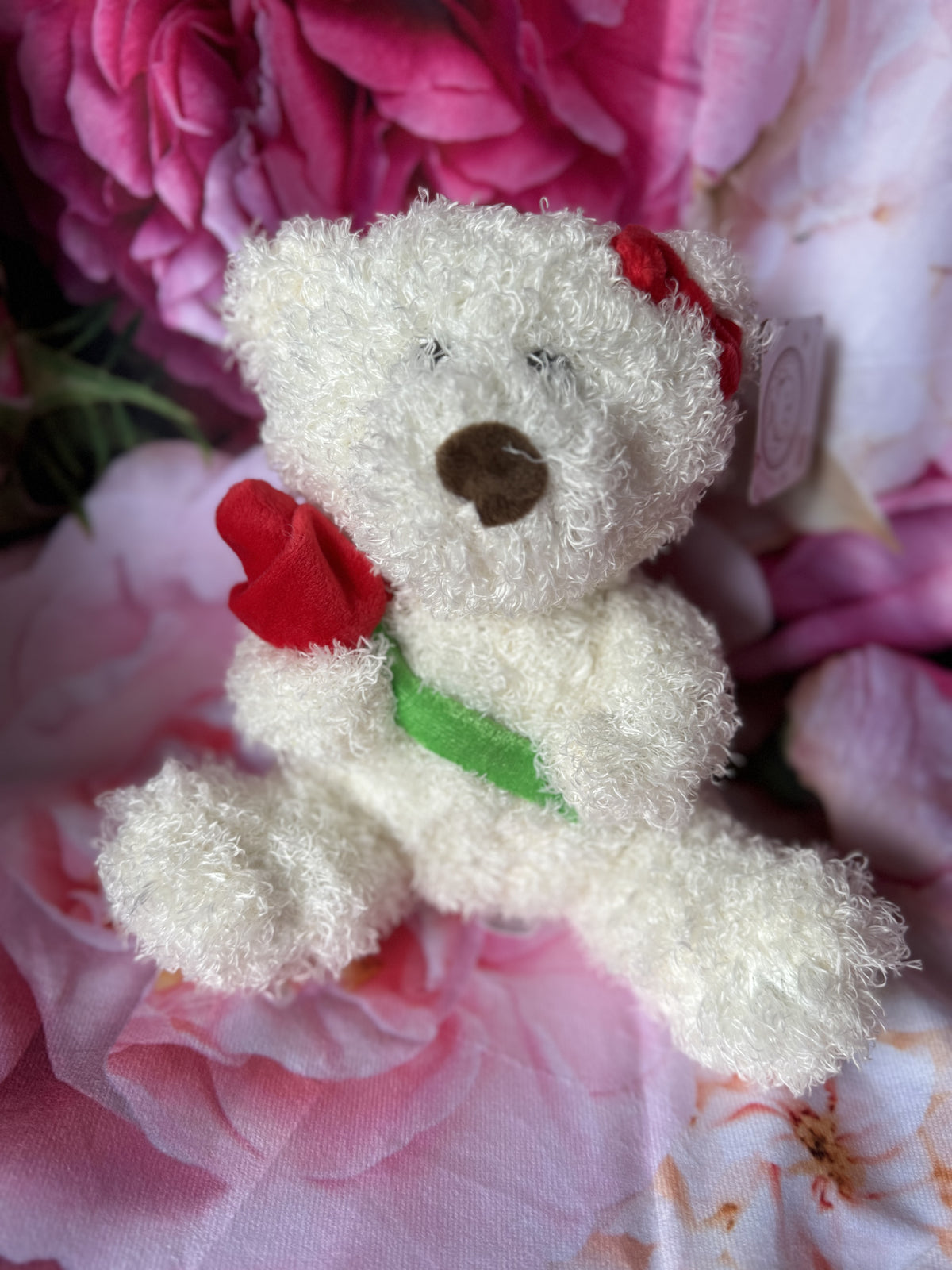 Mrs Teddy Bear with Red Rose 20cm