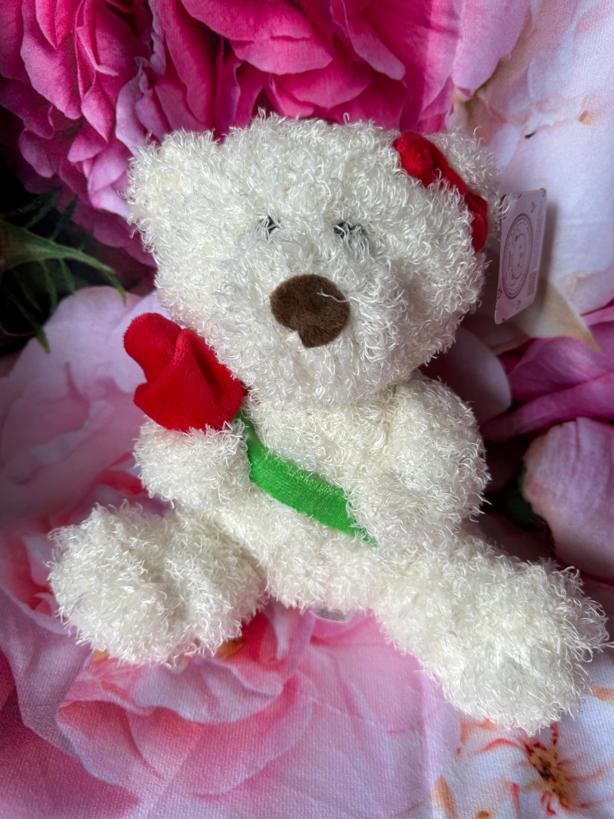 Mrs Teddy Bear with Red Rose 20cm